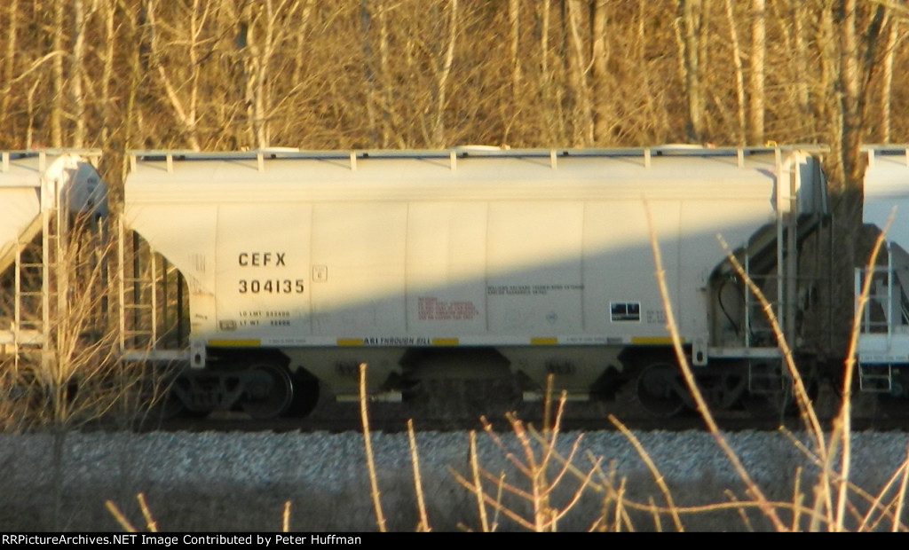 CEFX 304135